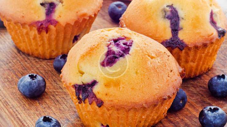 Blueberry Muffins